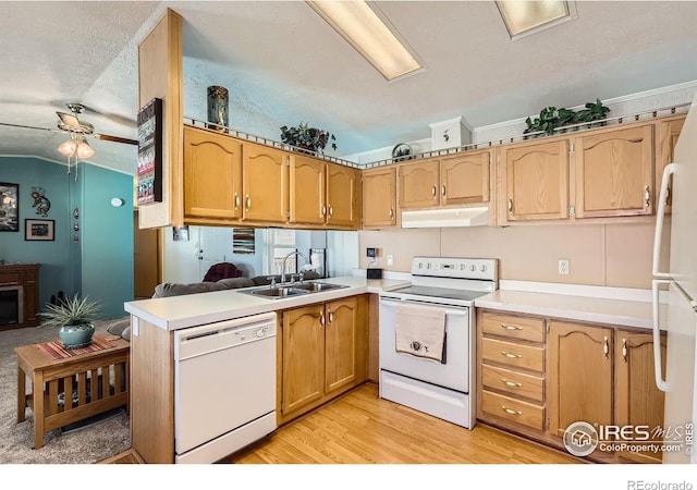 kitchen with white appliances, under cabinet range hood, a sink, a ceiling fan, and light countertops