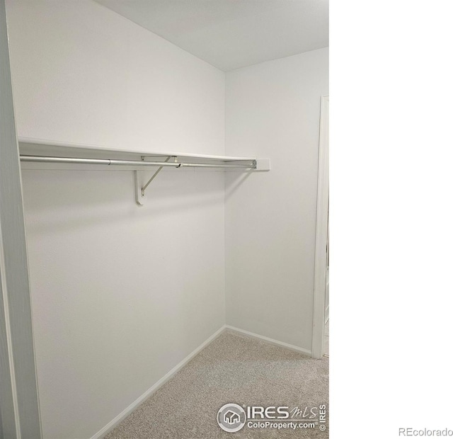 2066 Weathertop Ln, Fort Collins, CO 80526 - walk in closet featuring light carpet