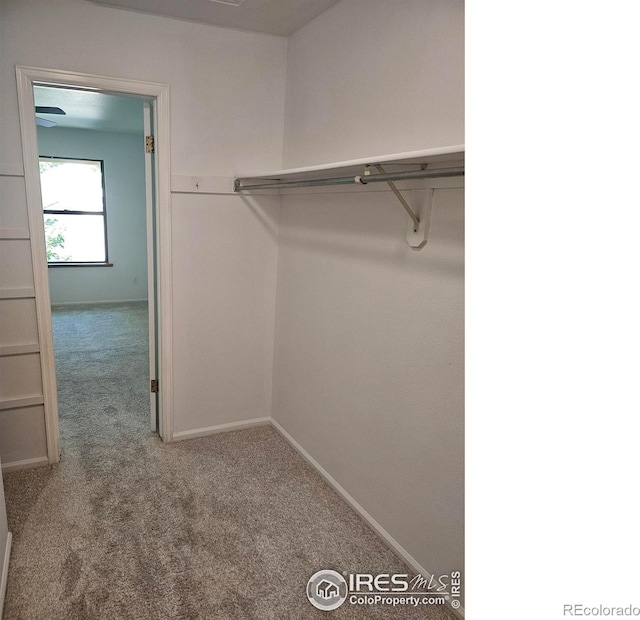 2066 Weathertop Ln, Fort Collins, CO 80526 - walk in closet featuring carpet floors