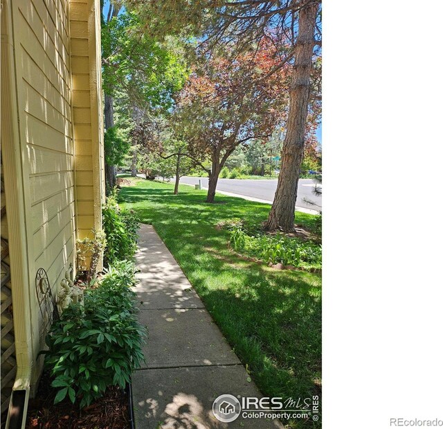 2066 Weathertop Ln, Fort Collins, CO 80526 - view of green lawn