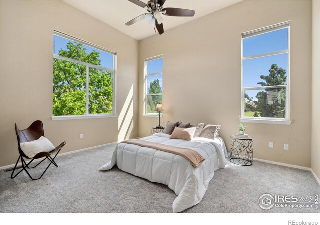 7368 New Raymer Ct, Fort Collins, CO 80525 - photo 9