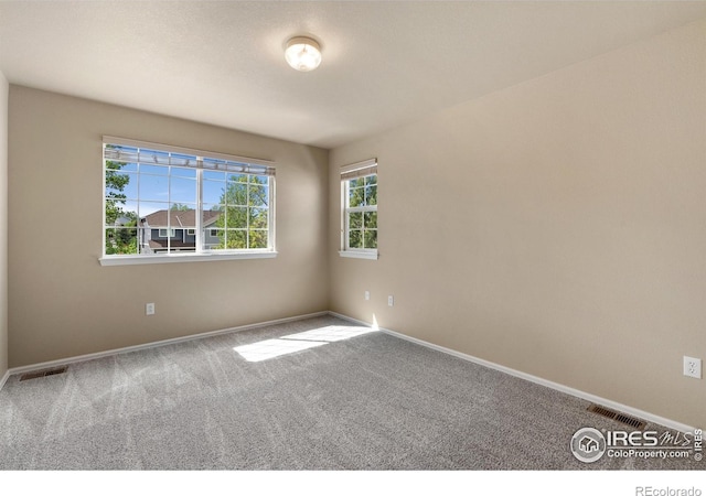 7368 New Raymer Ct, Fort Collins, CO 80525 - photo 13
