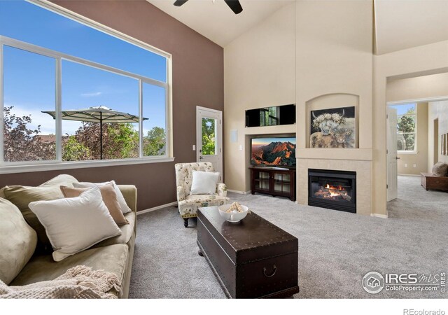 7368 New Raymer Ct, Fort Collins, CO 80525 - photo 3