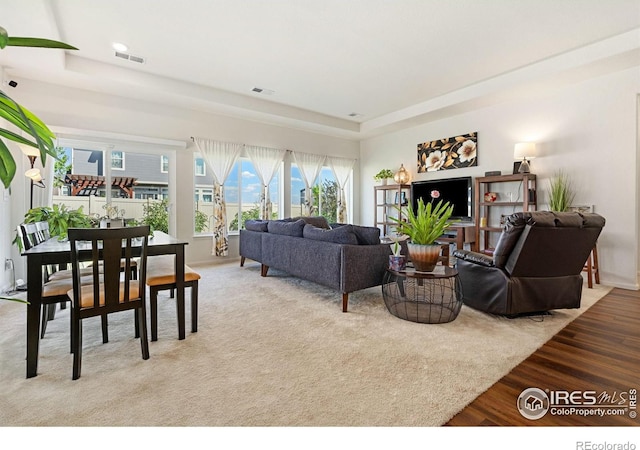 living room featuring a raised ceiling and wood finished floors