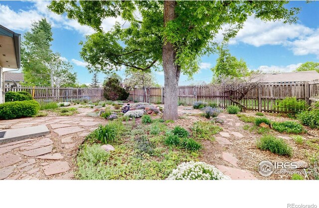 976 S Edinburgh Dr, Loveland, CO 80537