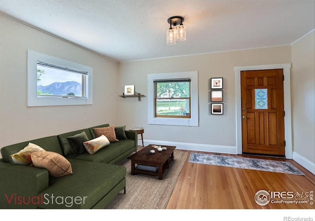3116 47th St, Boulder, CO 80301 - living room featuring wood finished floors and baseboards