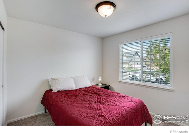 7505 Little Fox Ln, Wellington, CO 80549 - bedroom featuring baseboards and carpet flooring