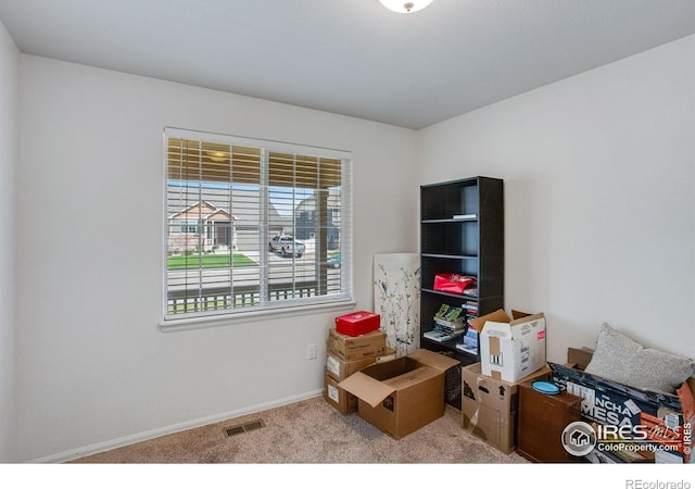 7505 Little Fox Ln, Wellington, CO 80549 - interior space with carpet and baseboards