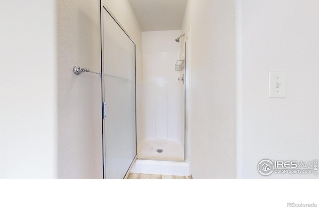 374 Blue Azurite Ave, Loveland, CO 80537 - full bathroom featuring a shower stall