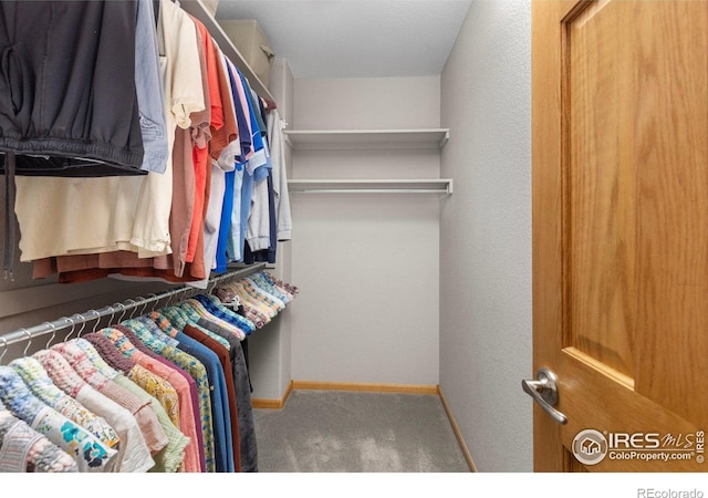 1918 Lily Dr, Loveland, CO 80537 - spacious closet featuring carpet