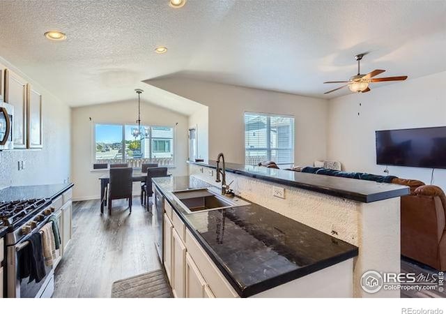 4134 Cypress Ridge Ln, Wellington, CO 80549 - kitchen featuring a sink, stainless steel appliances, dark wood finished floors, a ceiling fan, and open floor plan