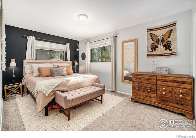 1001 Strachan Dr Unit 24, Fort Collins, CO 80525 - photo 10