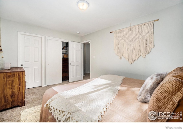 1001 Strachan Dr Unit 24, Fort Collins, CO 80525 - photo 12
