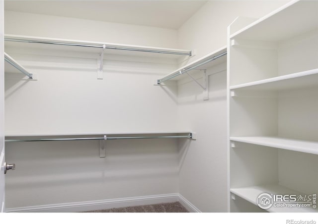 197 Liberty St, Erie, CO 80516 - walk in closet with carpet flooring