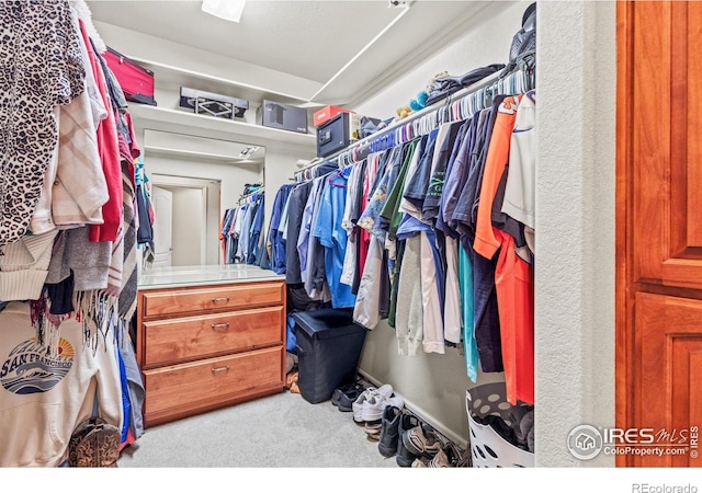 spacious closet with carpet floors