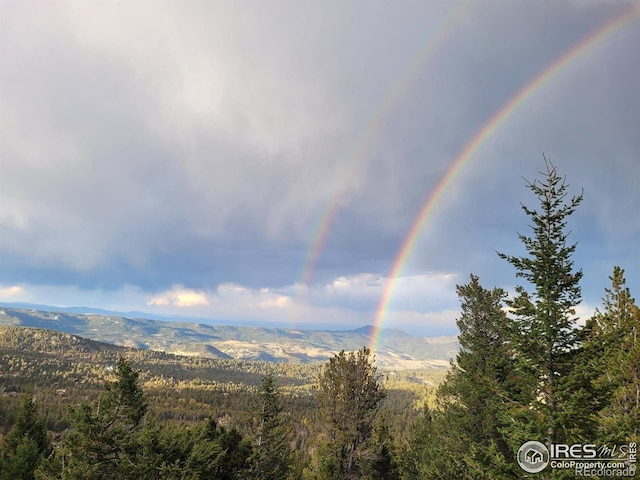 33090 Janelle Cir, Golden, CO 80403 - view of mountain background featuring a heavily wooded area