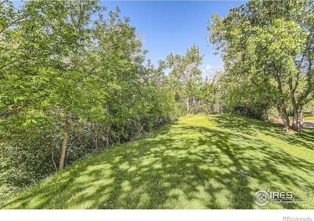2962 Shadow Creek Dr Unit 306, Boulder, CO 80303 - view of green lawn