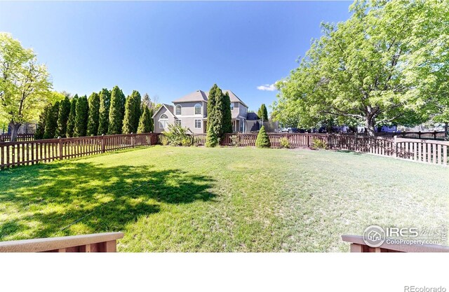 3221 Mesa Verde St, Fort Collins, CO 80525 - view of yard