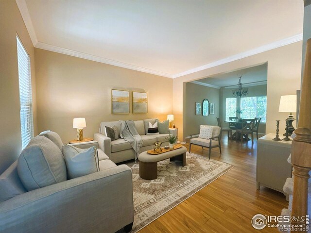3221 Mesa Verde St, Fort Collins, CO 80525 - photo 3