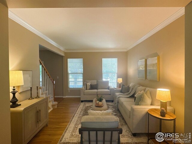3221 Mesa Verde St, Fort Collins, CO 80525 - photo 4