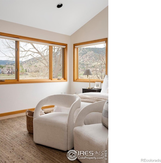 990 Utica Cir, Boulder, CO 80304 - living area featuring lofted ceiling and baseboards