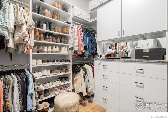 5524 Congressional Ct, Windsor, CO 80528 - spacious closet featuring wood finished floors