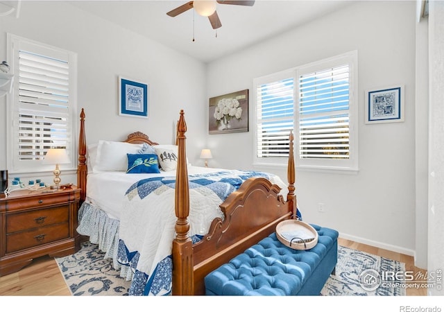 5524 Congressional Ct, Windsor, CO 80528 - bedroom featuring wood finished floors and ceiling fan