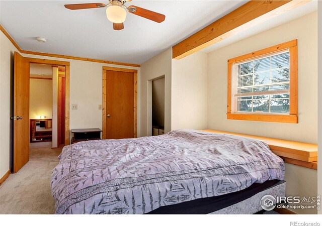 490 Gordon Ct, Livermore, CO 80536