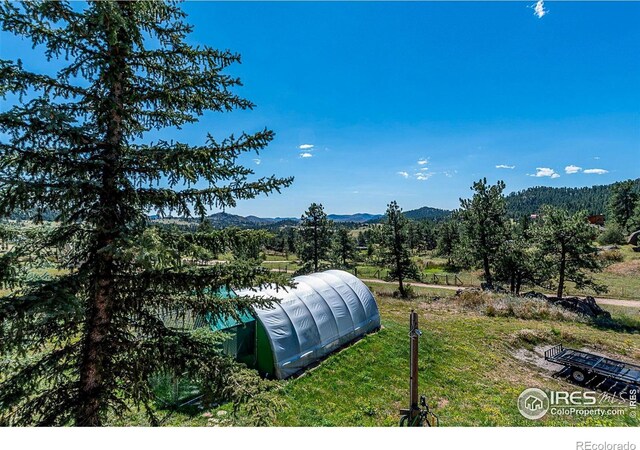 490 Gordon Ct, Livermore, CO 80536