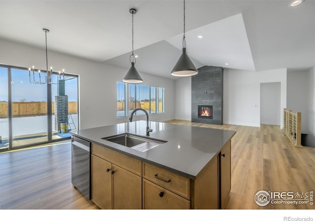 124 Boxwood Dr, Windsor, CO 80550 - photo 5