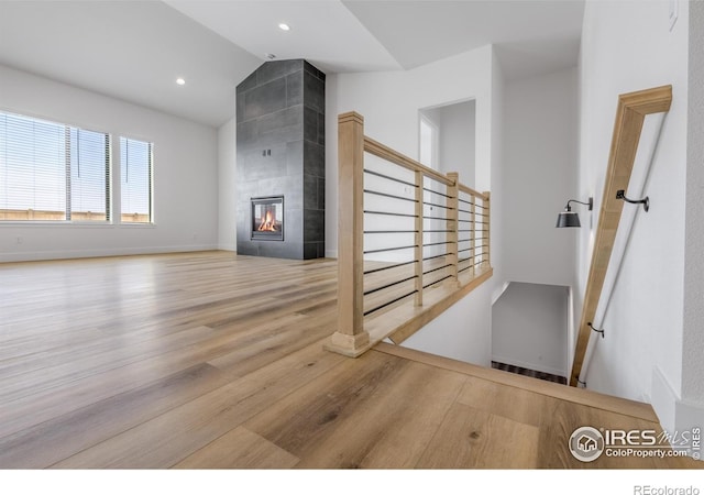 124 Boxwood Dr, Windsor, CO 80550 - photo 17