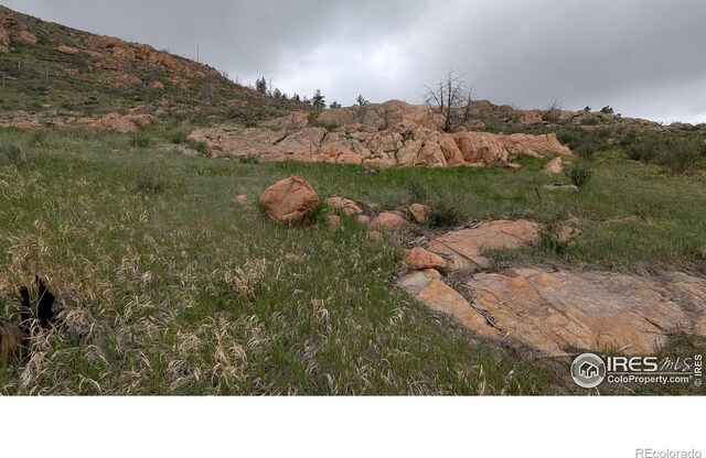 1191 Eiger Rd, Livermore, CO 80536