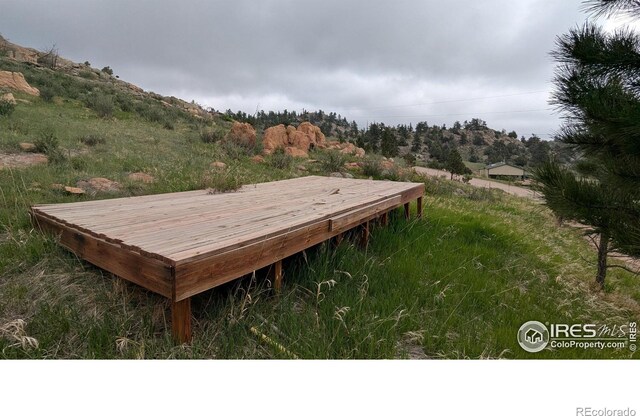 1191 Eiger Rd, Livermore, CO 80536