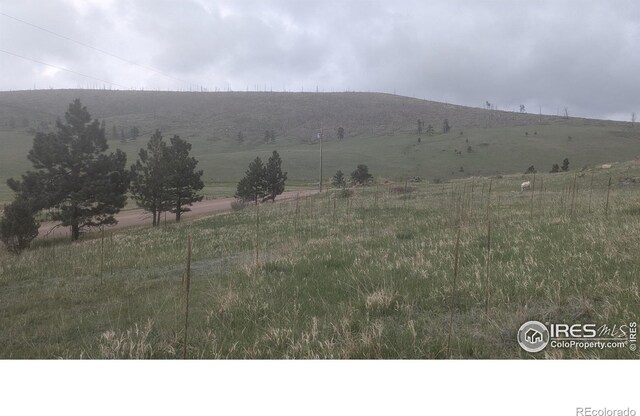 1191 Eiger Rd, Livermore, CO 80536