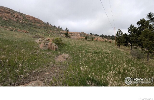 1191 Eiger Rd, Livermore, CO 80536