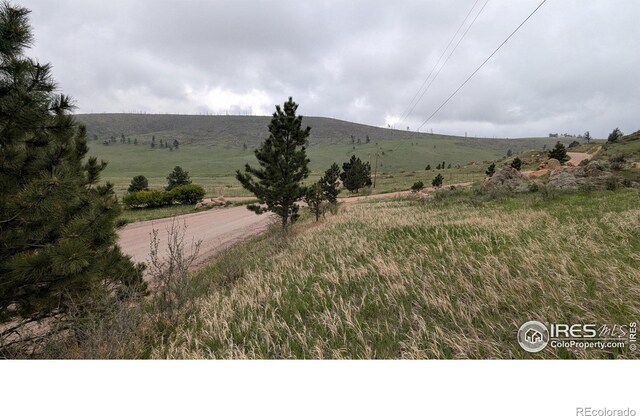 1191 Eiger Rd, Livermore, CO 80536
