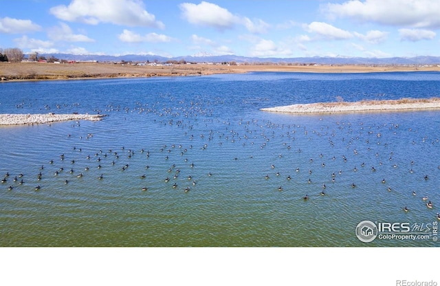 5425 County Road 32 Unit 27, Mead, CO 80504 - photo 2