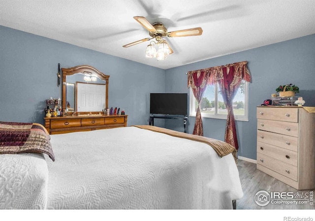 316 43rd Avenue Ct, Greeley, CO 80634 - bedroom with wood finished floors, a ceiling fan, and baseboards