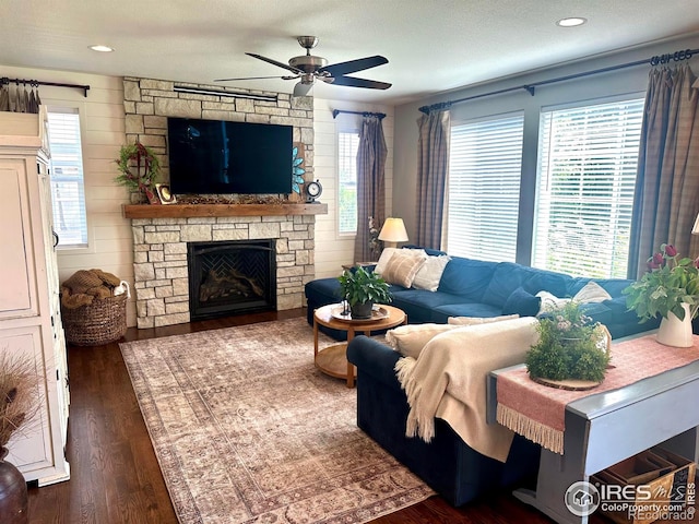 8241 White Owl Ct, Windsor, CO 80550 - living area featuring a ceiling fan, dark wood-style flooring, healthy amount of natural light, and a stone fireplace