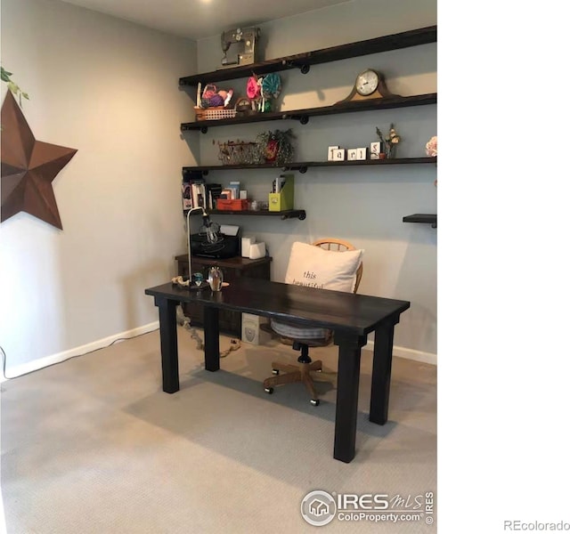 8241 White Owl Ct, Windsor, CO 80550 - office space featuring carpet and baseboards