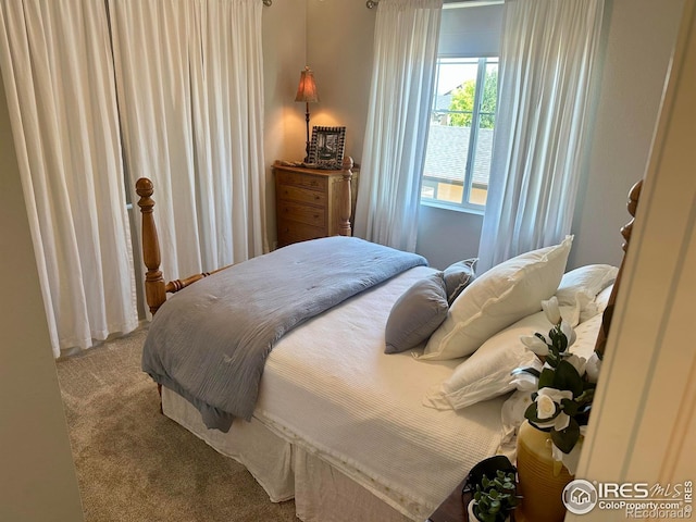 8241 White Owl Ct, Windsor, CO 80550 - view of carpeted bedroom