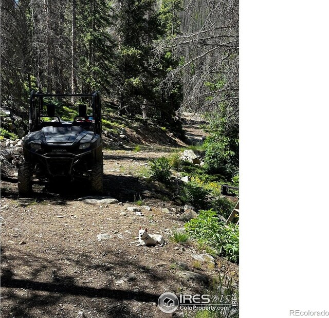 16351 Chalk Creek Dr, Nathrop, CO 81236