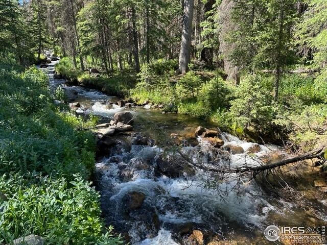 16351 Chalk Creek Dr, Nathrop, CO 81236