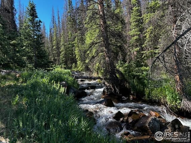 16351 Chalk Creek Dr, Nathrop, CO 81236