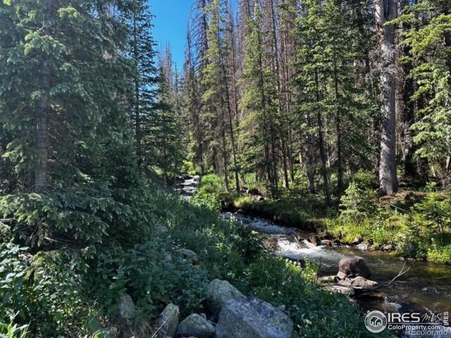 16351 Chalk Creek Dr, Nathrop, CO 81236