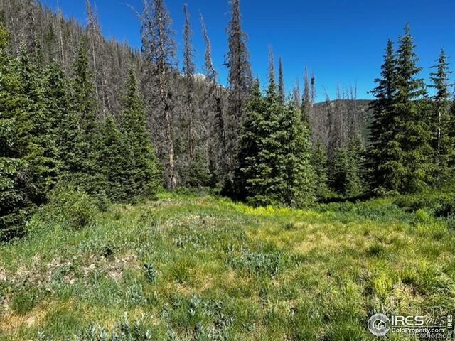 16351 Chalk Creek Dr, Nathrop, CO 81236