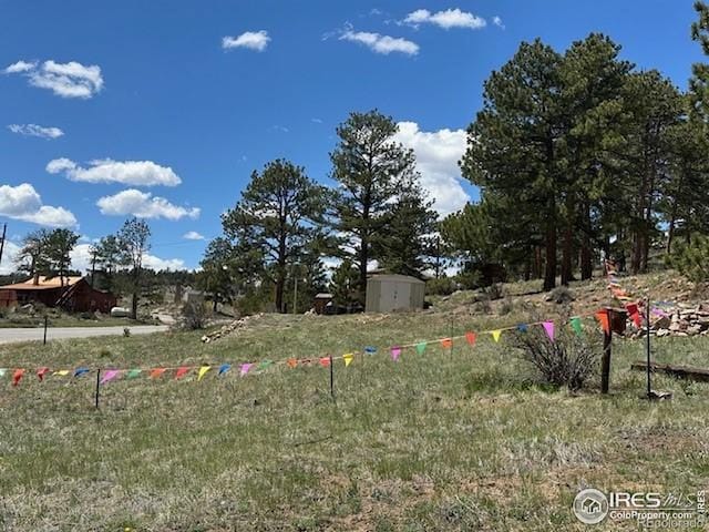 885 County Road 67j, Red Feather Lakes, CO 80545 - view of yard with a storage unit and an outbuilding