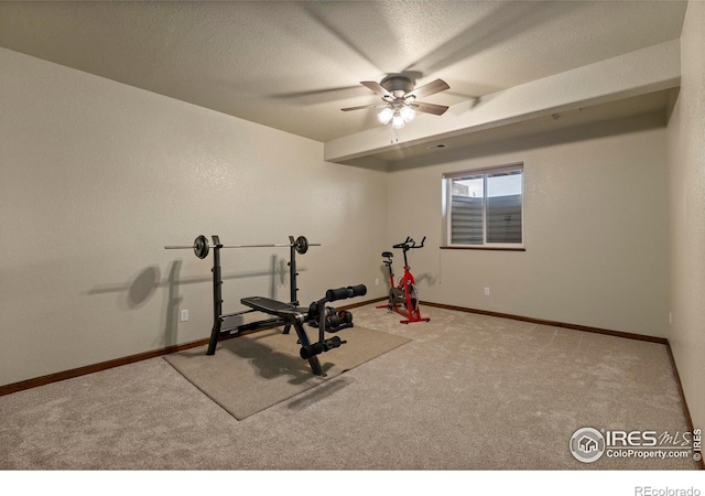 7717 Amour Hill Dr, Greeley, CO 80634 - workout area with carpet floors, baseboards, a ceiling fan, and a textured ceiling