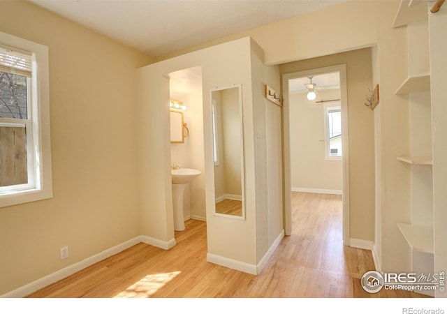 503 E Oak St, Lafayette, CO 80026 - hallway featuring wood finished floors and baseboards