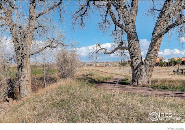 503 E Oak St, Lafayette, CO 80026 - view of yard